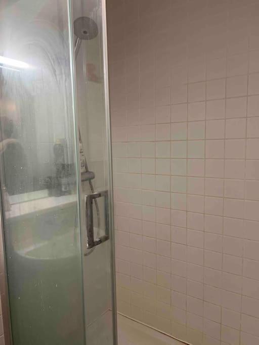 Deluxe Garden Apartment London Kültér fotó